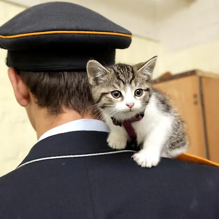 10-z Bunker Albergue *