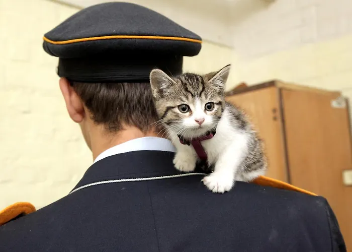 10-z Bunker Vandrarhem *